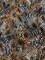 Brown Multi Snakeskin Animal Print Poly Georgette Fabric By the Yard